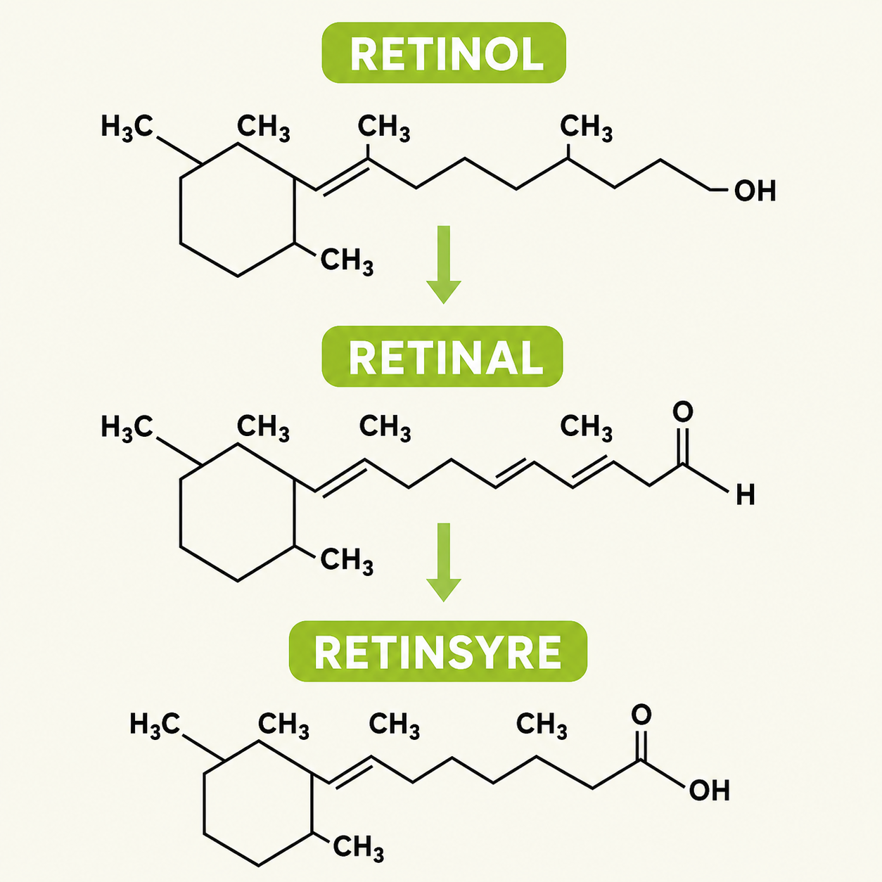 Lyselle™ – Næste generations alternativ til retinol
